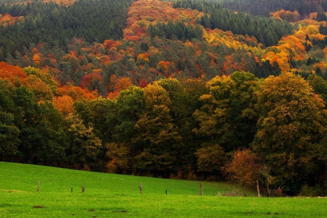 Le Harini Daire Manhay Dış mekan fotoğraf