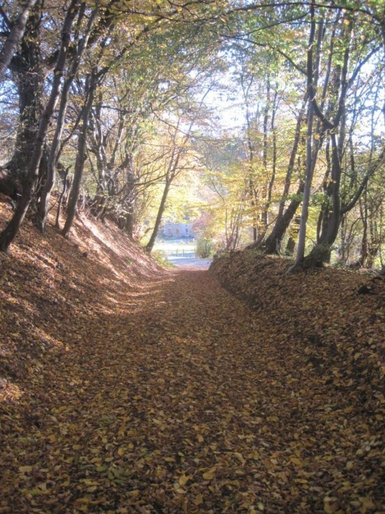 Le Harini Daire Manhay Dış mekan fotoğraf
