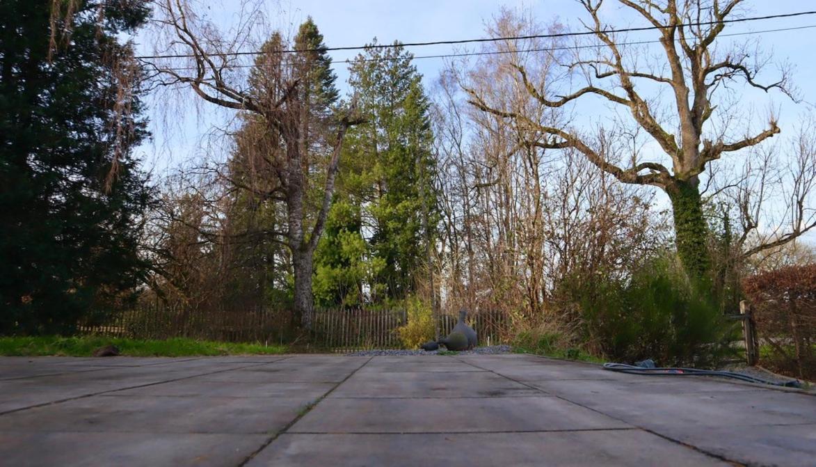 Le Harini Daire Manhay Dış mekan fotoğraf